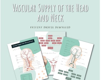 Vascular Supply/Blood Supply of the Head and Neck Digital Download Anatomy/Dentistry/Dental Hygiene/Therapist/Medical Student Study Notes