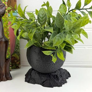 Può includere: Un vaso sferico nero con una superficie testurizzata che ricorda quella lunare, poggiato su una base nera irregolare simile a una roccia. Il vaso contiene una rigogliosa pianta artificiale verde con numerose foglie appuntite e vivaci.