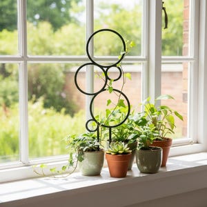 May include: A black metal plant trellis with a series of connected circles, supporting climbing plants. Several potted plants, including succulents and ivy, sit on a white windowsill in front of a window with a green, blurred background.