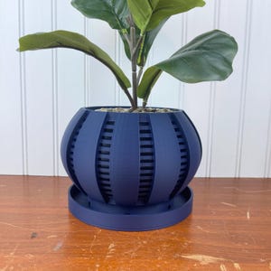 Orchid Planter Pot, The Arik Orchid Planter Pot with Drainage Tray, Modern Unique