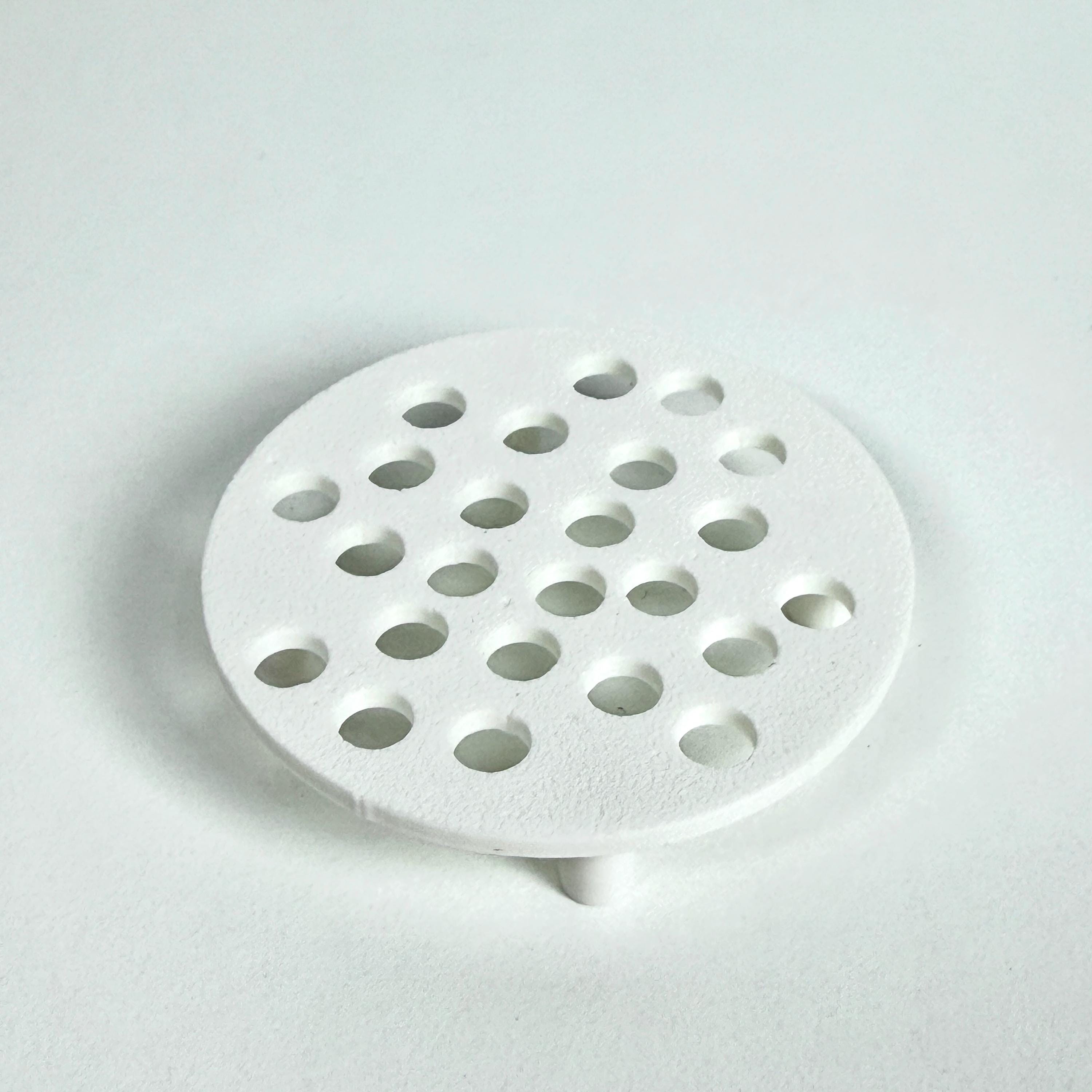 Corm Riser Corm Risers, Alocasia Corms Propagation Disks - Etsy