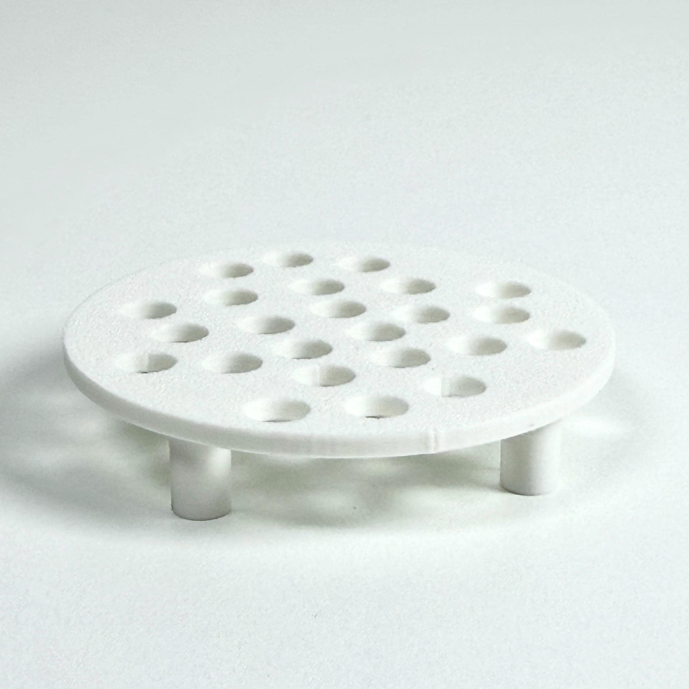 Corm Riser Corm Risers, Alocasia Corms Propagation Disks - Etsy