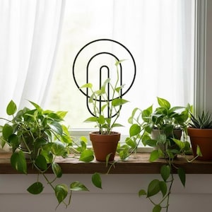 Peut inclure: Plusieurs plantes en pot aux feuilles vertes vives sur un rebord de fenêtre en bois. Les plantes sont dans des pots en terre cuite. Une pièce décorative en métal noir est montée sur la fenêtre. Rideaux blancs en arrière-plan.