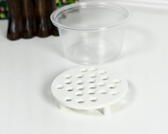 Corm Risers, Alocasia Corms Propagation Disks