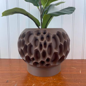 May include: A brown ceramic planter with a geometric honeycomb pattern. The planter is filled with a green plant with large leaves.