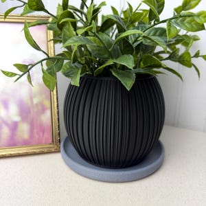 May include: A black, ribbed, spherical planter with a gray saucer holds a vibrant green plant. The planter sits on a neutral-colored surface, with a gold-framed picture in the background. The overall aesthetic is modern and minimalist.