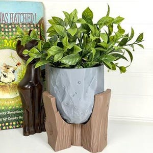 May include: A gray, textured planter pot with a faux wood stand, holding a vibrant green plant. The pot has a unique, carved design. A brown cat figurine and a vintage book are in the background.