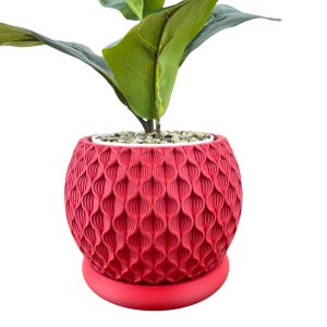 Indoor Flower Pot, Bloom Planter Pot, Houseplants, Ecofriendly