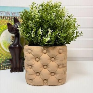May include: A square, beige tufted planter pot with a button design, filled with a lush green plant. A dark brown cat statue and a book are in the background. The pot is approximately 15 cm wide.