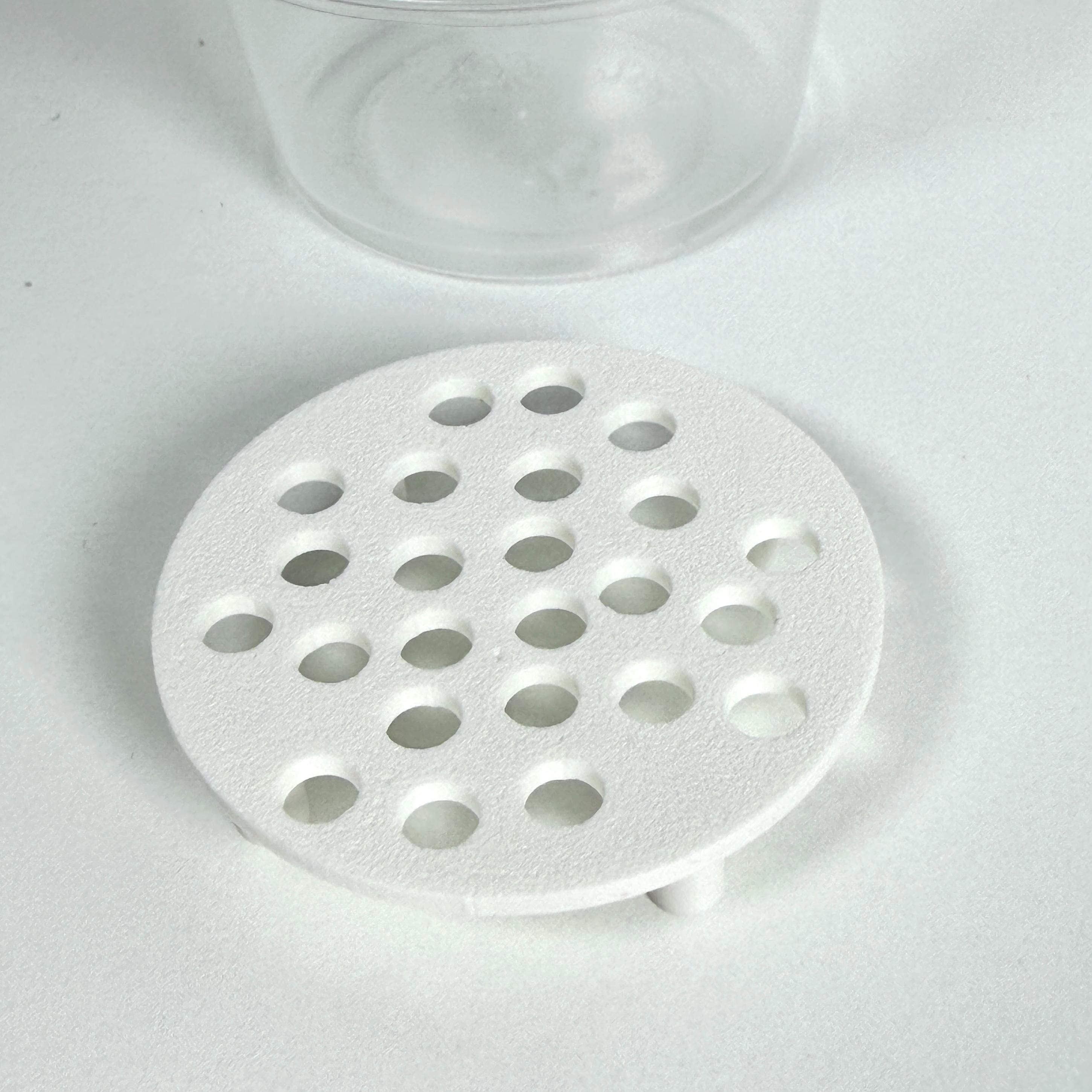 Corm Risers, Alocasia Corms Propagation Disks - Etsy