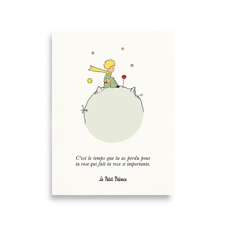 Little Prince Poster FRENCH Quote Print C'est Le Temps Que Tu as Perdu