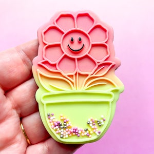 May include: A pink and yellow gradient flower with a smiling face in a green pot with colourful sprinkles.