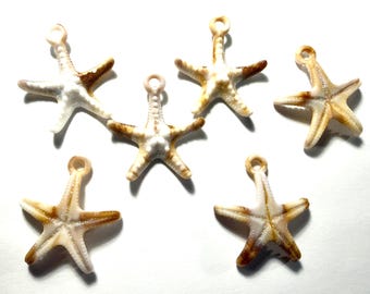 Starfish Shell Charms, Acrylic, 29mm x 32mm, Ocean, Beach, Coast