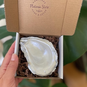 May include: A white ceramic oyster shell dish in a brown cardboard box with brown packing paper. The box has a label that says "Handmade Platonic Store Home & Decor".