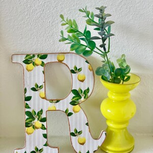 Monograma decoupage con diseño de rayas rosas y limones // Decoración de pared (con percha)