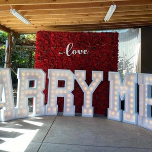 Luces de marquesina de boda / Nombres iluminados / Decoración de luces de boda / Luces de letras de marquesina / Luz de nombre personalizada / Letras iluminadas