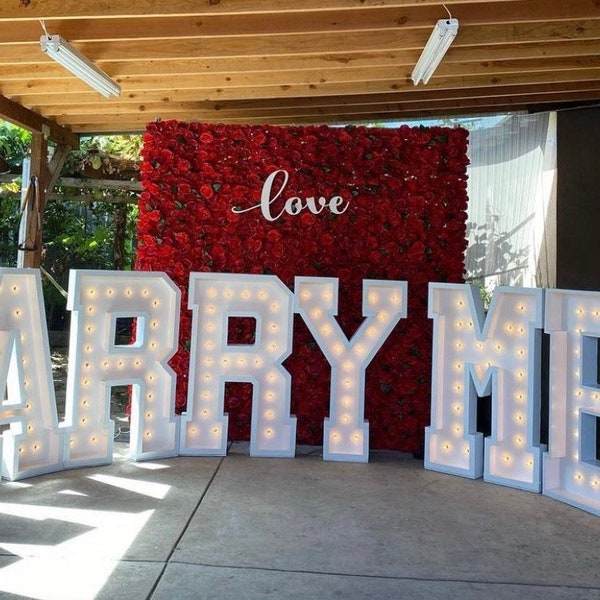 Wedding Marquee Lights/ Light up Names/ Wedding Lights Decor/ Marquee Letter Lights/Personalized Name Light/ Light up Letters