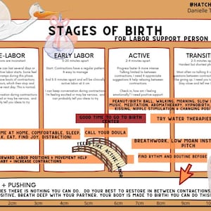 Labor Education Printable Handout PDF | Childbirth Education, Labor and ...