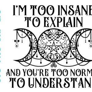 I&#39;m Too Insane To Explain And You&#39;re Too Normal To Understand