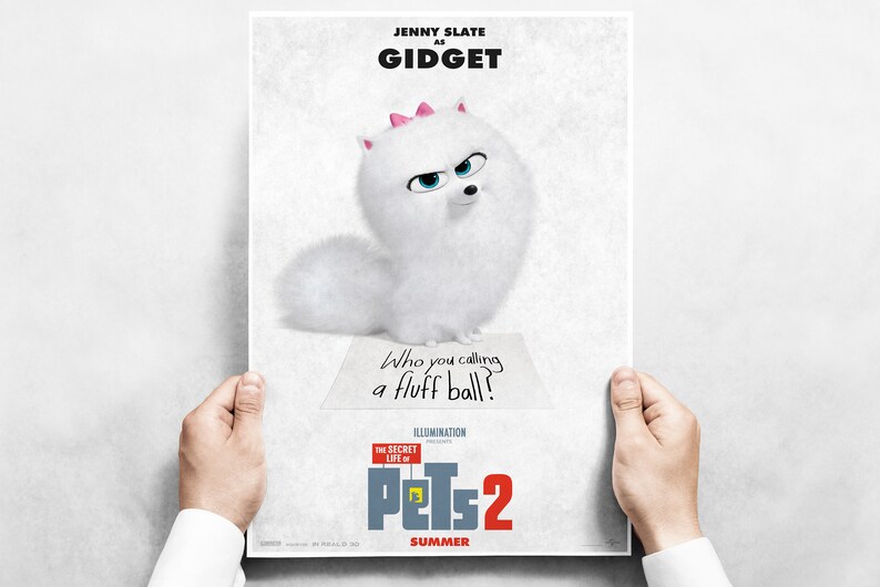 The Secret Life of Pets 2 Movie Poster / Film Poster A4A3