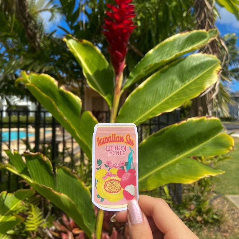 May include: A sticker featuring a pink Hawaiian Sun Lilikoi Lychee can design. The sticker has a vintage aesthetic with illustrations of passion fruit and lychee. The background includes green foliage and a red flower.