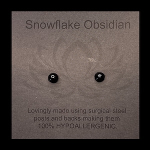 May include: A pair of black snowflake obsidian earrings with surgical steel posts and backs. The earrings are hypoallergenic.
