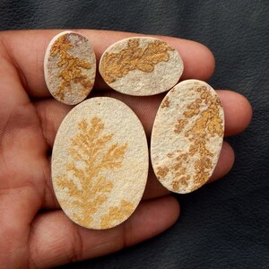 Könnte beinhalten: Vier ovale Steine mit filigranen, farnartigen Mustern in Braun- und Goldtönen auf beigem Hintergrund. Die Steine werden in einer Hand gehalten, wodurch ihre natürlichen Texturen und einzigartigen Designs hervorgehoben werden. Naturprodukt.