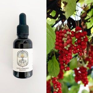Schisandra Spagyrische Tinktur