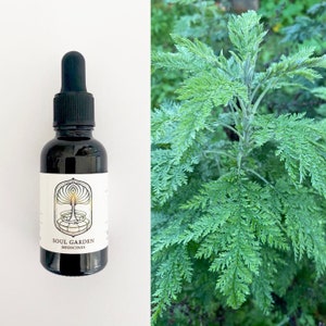 Wormwood Spagyric Tincture