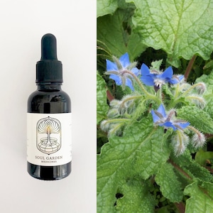 Borage Spagyric Tincture