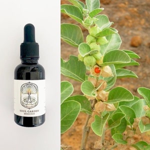Ashwagandha spagyrisk tinktur bild 2