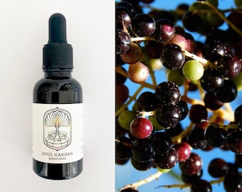 Saw Palmetto Spagyric Tincture