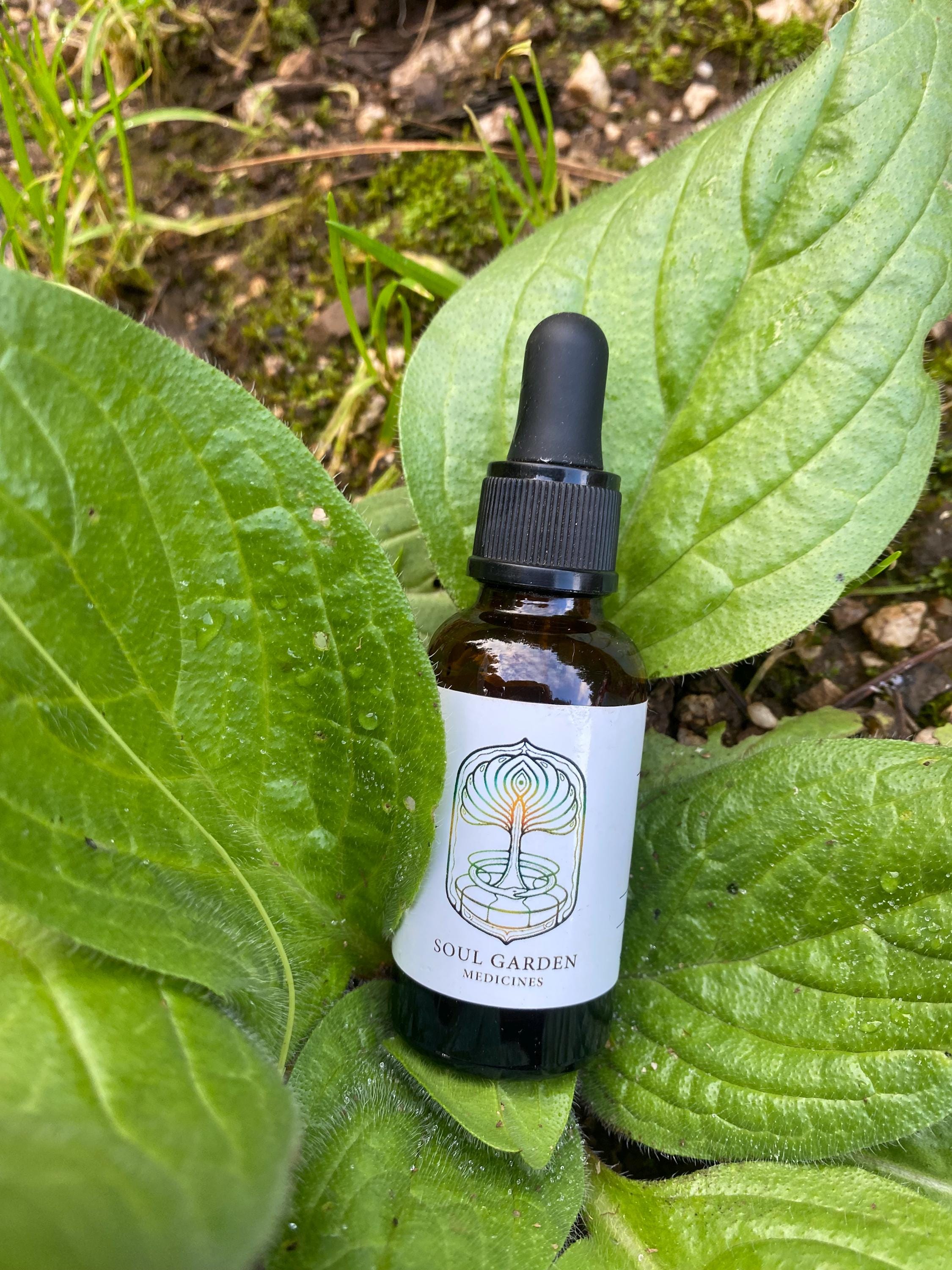 Plantain Spagyric Tincture