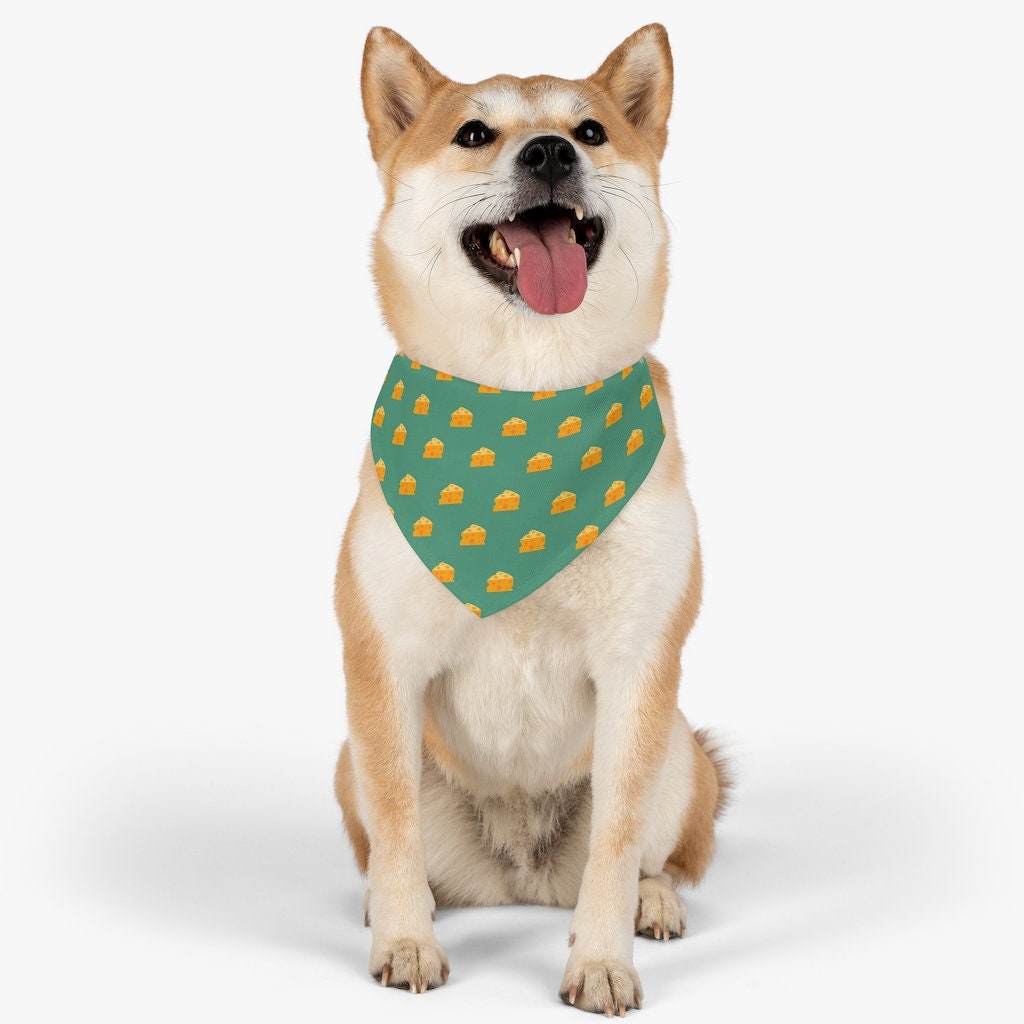 Cheesehead Dog Etsy UK