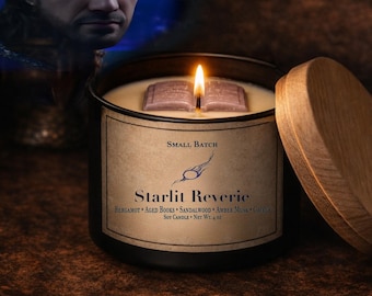 Vela Starlit Reverie / Vela de soja Magical Spellbook / Vela de mago erudito / Inspirada en Gale / 113 g