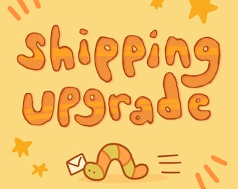 Shipping Upgrade (READ DESCRIPTION!)