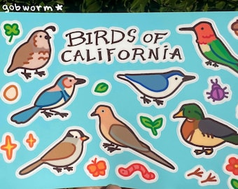 Foglio di adesivi con uccelli della California / Decalcomanie in vinile impermeabili