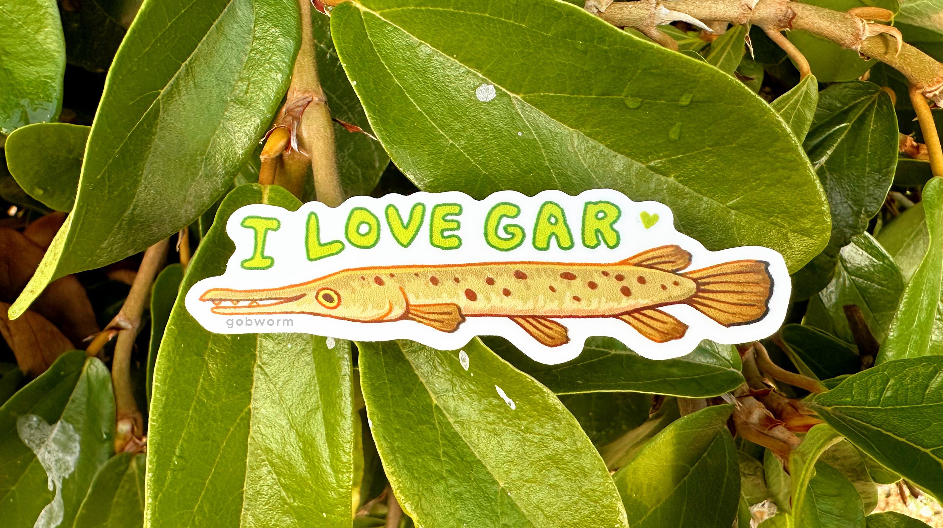 I Love Gar Sticker | Silly Fish Bumper Sticker Waterproof Decal ...