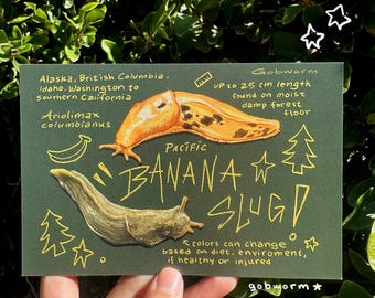 Ansichtkaartafdruk banaanslak | 6 x 4 natuur digitale afbeelding muurdecoratie kunst