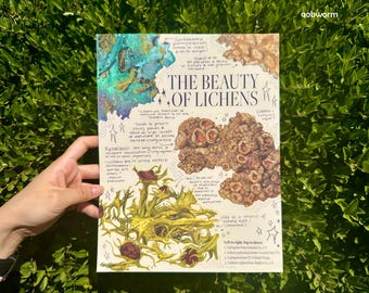 May include: A botanical illustration titled "The Beauty of Lichens" featuring detailed drawings of various lichen species in shades of brown, green, and blue. The artwork includes handwritten notes and scientific information about lichens.