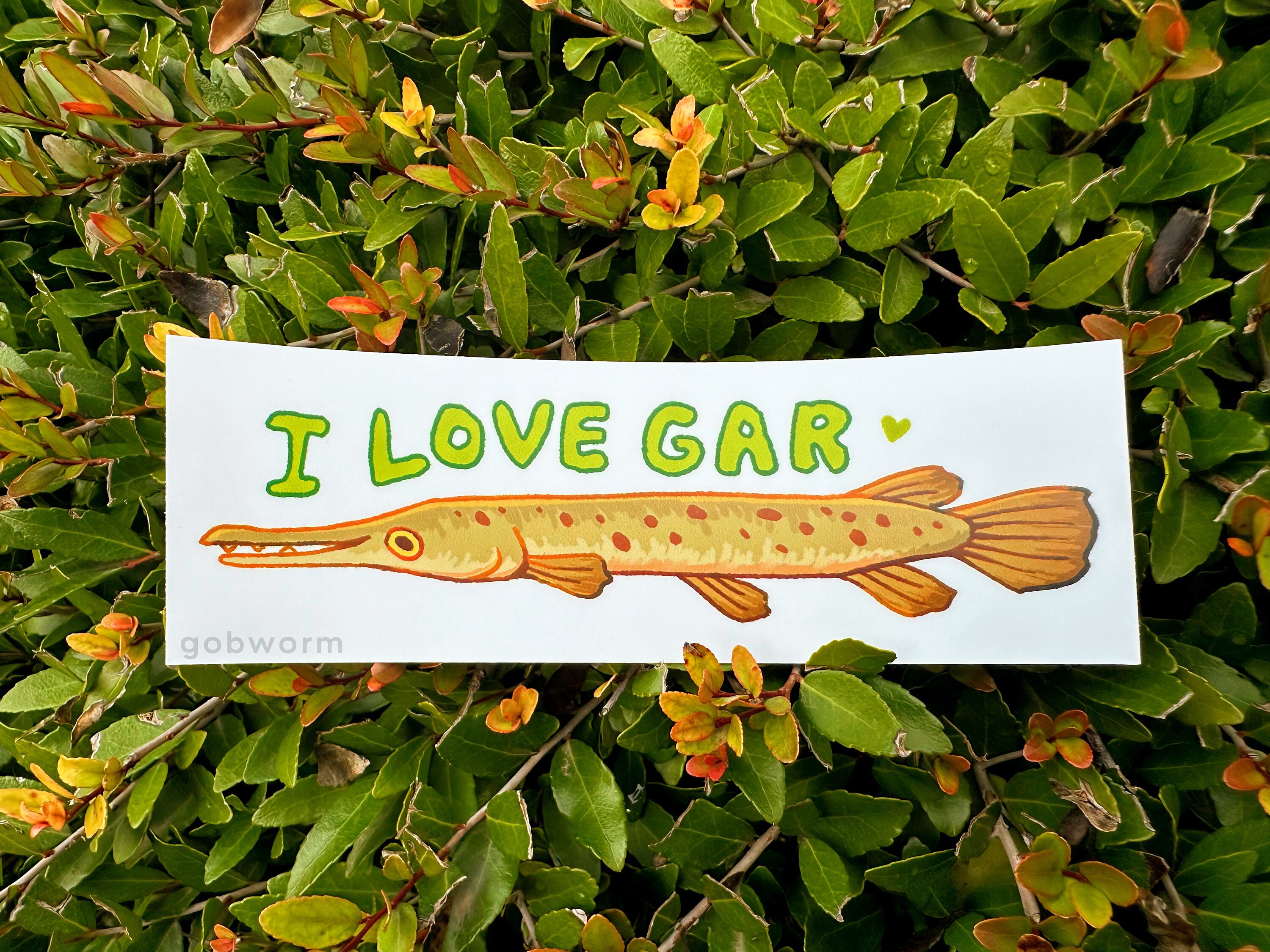 I Love Gar Sticker | Silly Fish Bumper Sticker Waterproof Decal ...