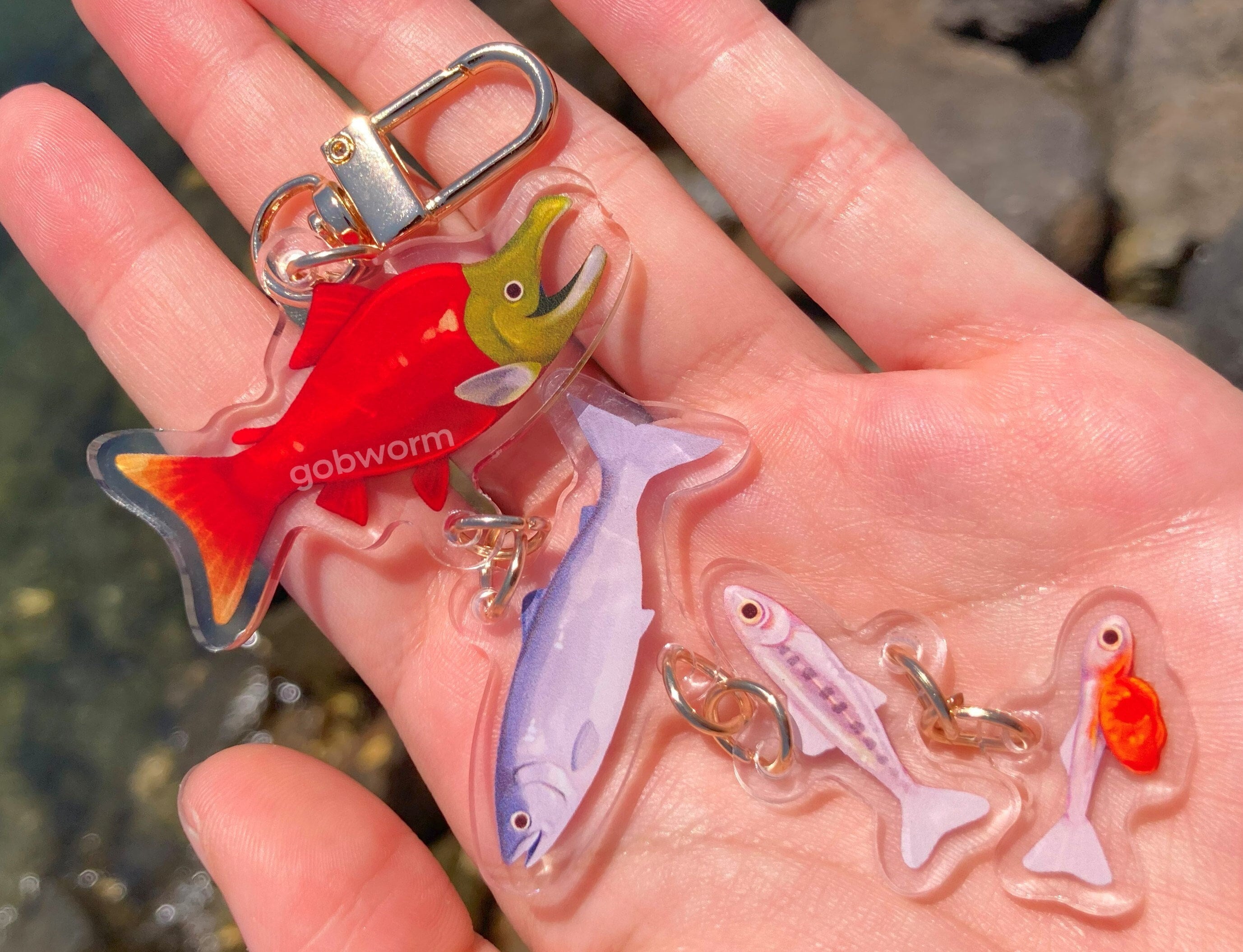 Salmon Life Cycle Keychain | Connection Sockeye Fish Biology Art