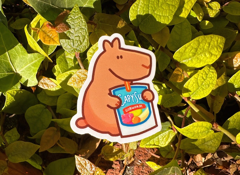 Capybara Sticker Set Funny Meme Stationery Etsy UK