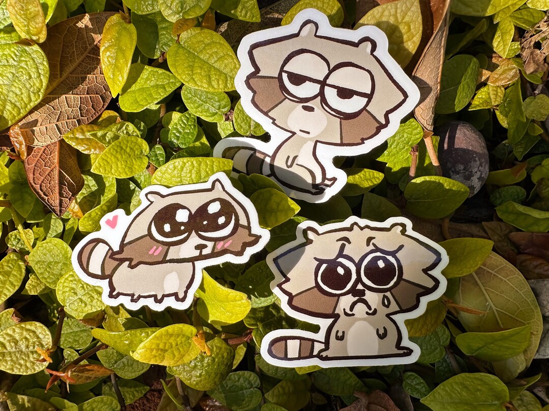 Raccoon Sticker Set Funny Meme Waterproof Decal Stationery - Etsy