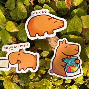 Capybara Sticker Set | Funny Meme Waterproof Stationery