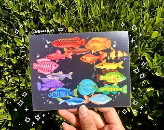 Cartolina con pesce arcobaleno / Illustrazione digitale di natura acquatica marina, decorazione murale