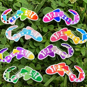 Pride Leopard Shark Stickers | CHARITY LGBT Waterproof Vinyl Decal Stationery