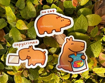Capybara Sticker Set | Funny Meme Waterproof Stationery