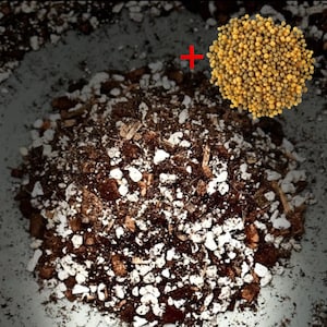 May include: A close-up of a pile of brown soil with white pebbles and small pieces of wood. A separate pile of small, round, yellow fertilizer pellets is shown in the upper right corner of the image.