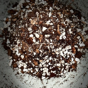 May include: Close-up of a mixture of brown soil and white perlite, a common potting mix for plants.